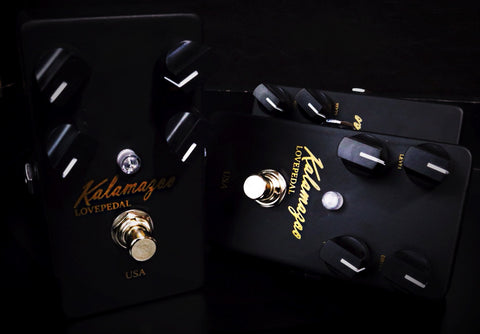 Black Caucus Kalamazoo - STEAL!!